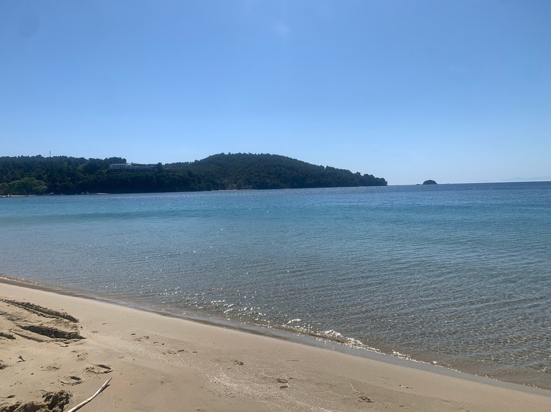 Koukounaries Beach-Koukounaries必去景点