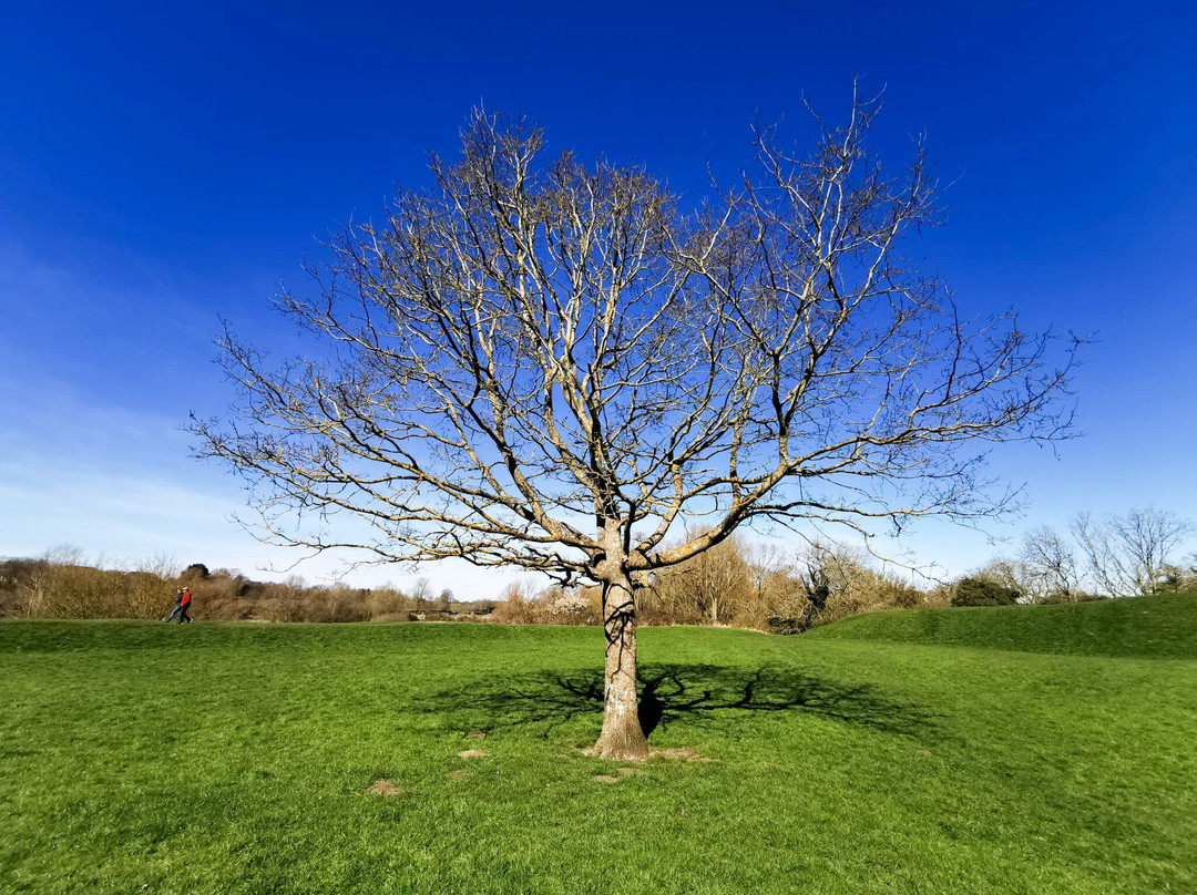Framlingham Castle-Framlingham必去景点