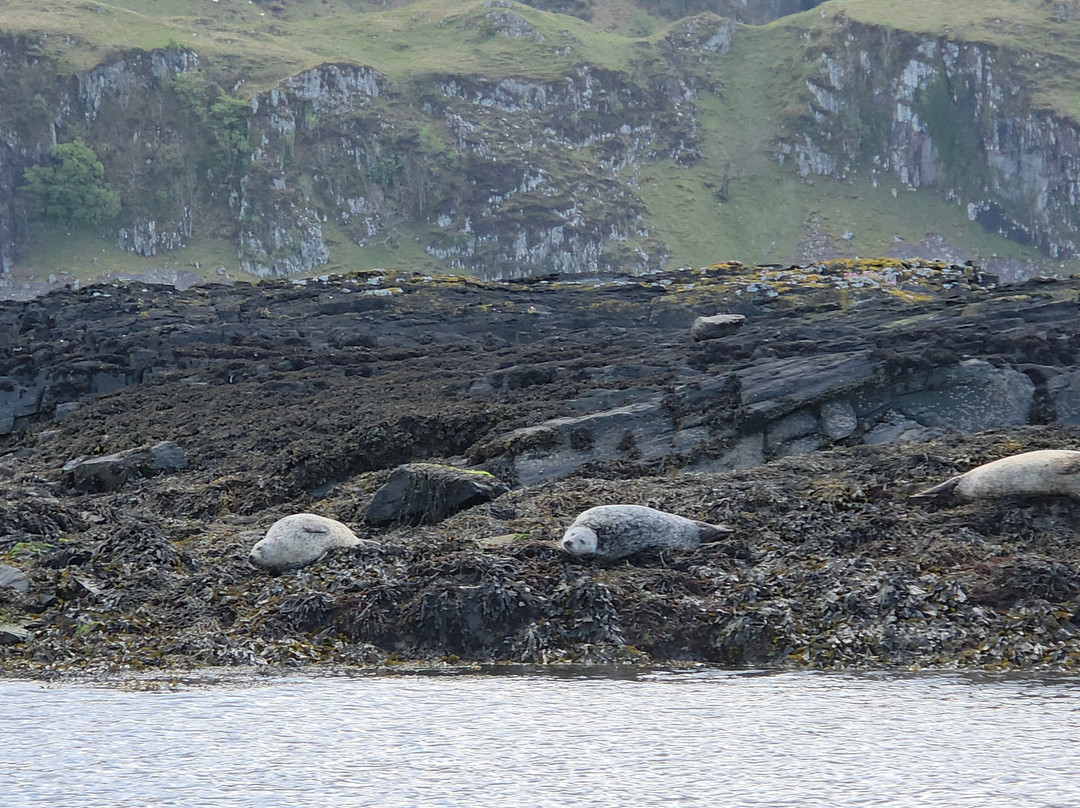 Argyll-Sea Tours-奥本必去景点