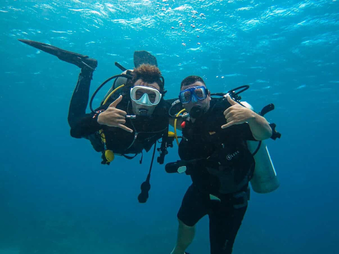 Stella Sharm Tours by Heroes travel