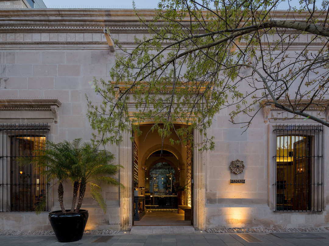 Meoqui酒店住宿-Central Hotel Boutique