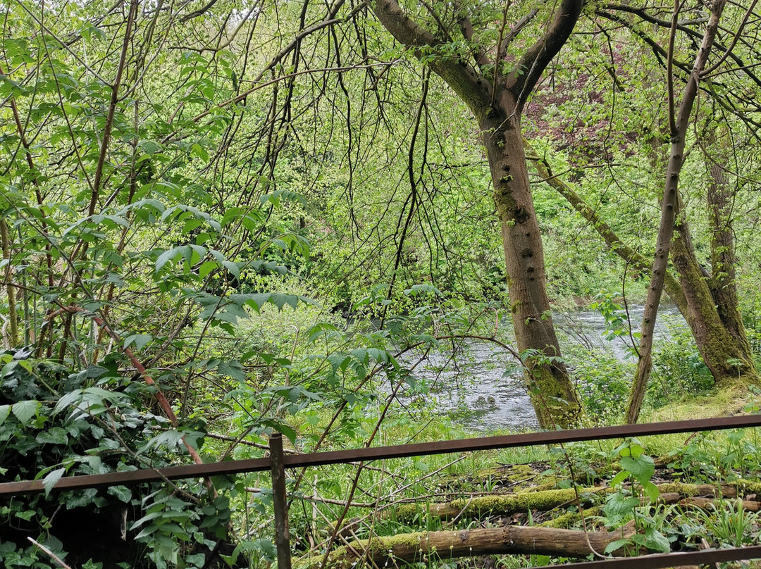 Kelvingrove Park-格拉斯哥必去景点