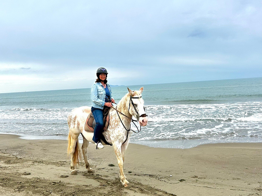 Cavallo Natura-Marina di Grosseto必去景点