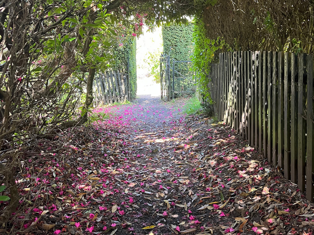 Kelburn Castle & Estate-Fairlie必去景点