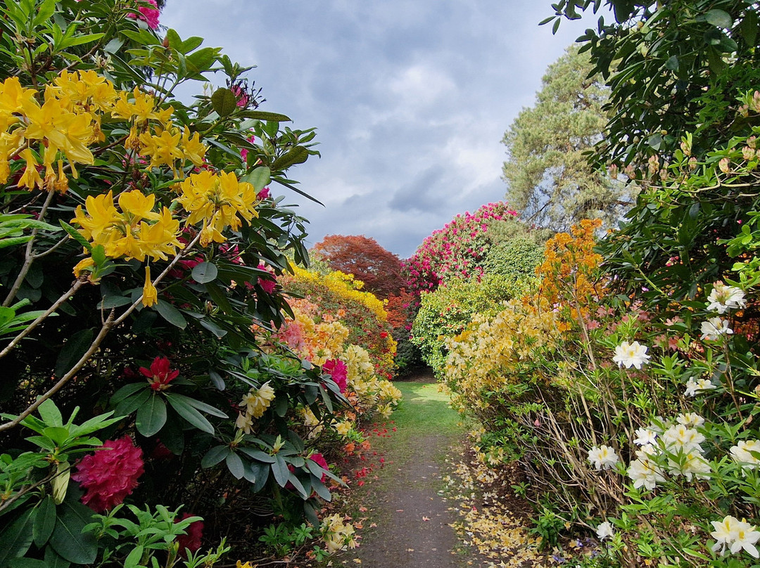 Stody Lodge Gardens-Melton Constable必去景点