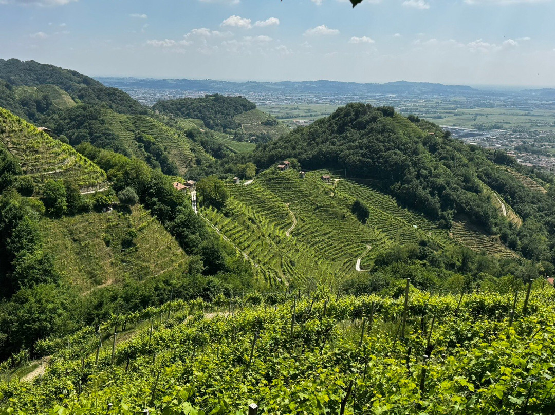 洛坎达拉坎多拉酒店主图