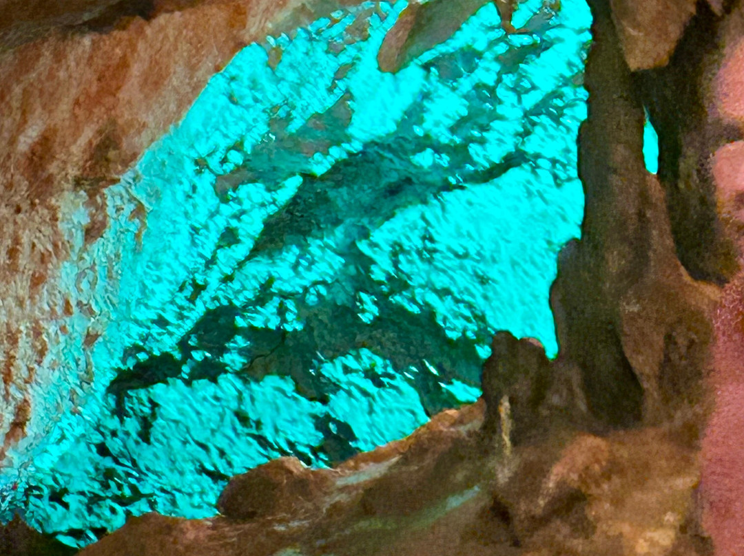 Florida Caverns State Park-Marianna必去景点