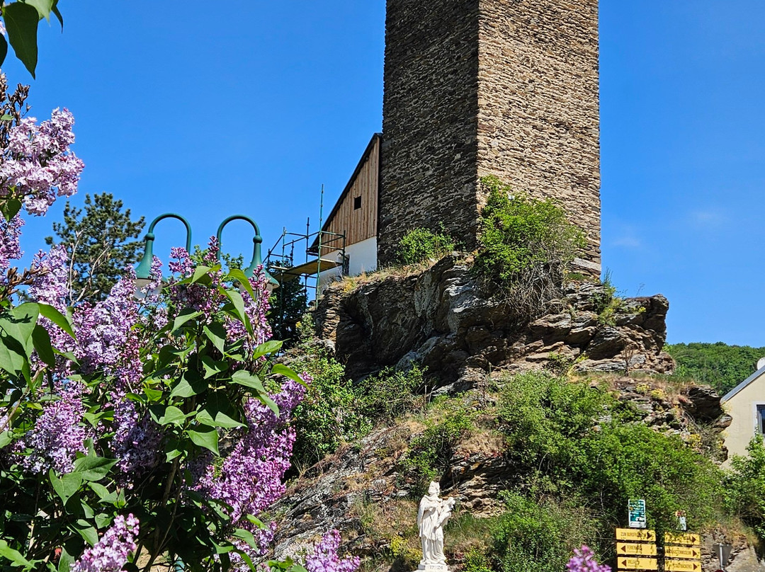 Burg Hardegg-Hardegg必去景点