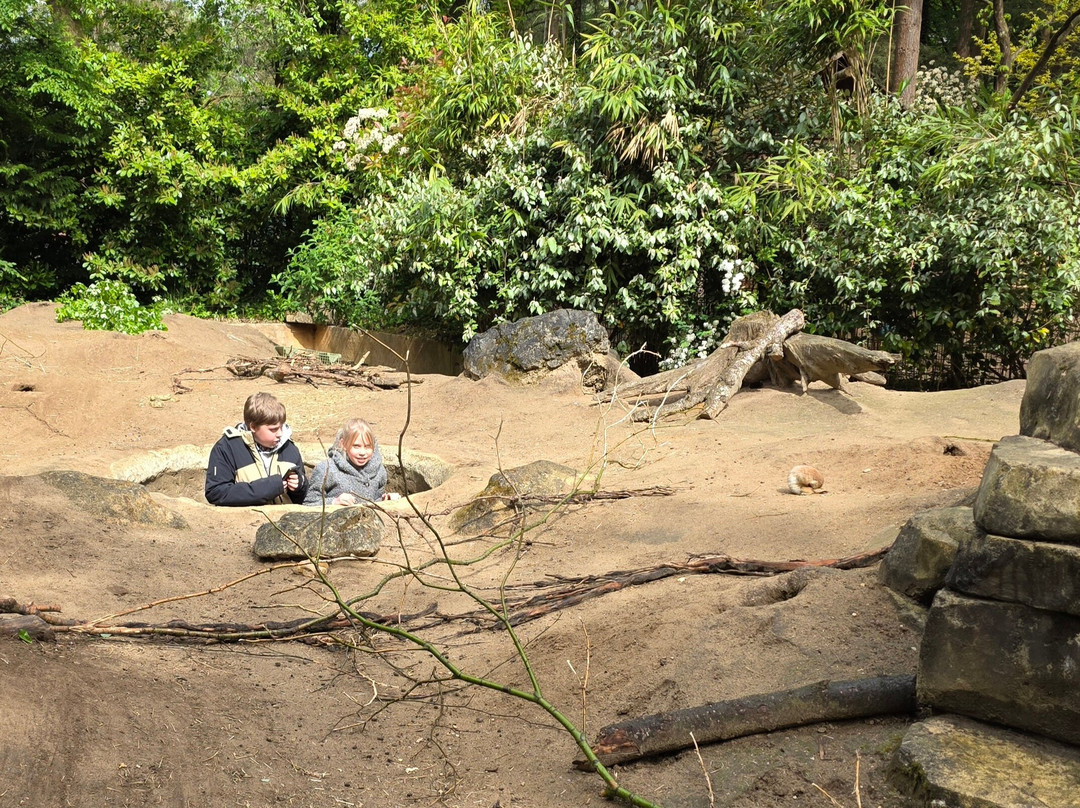 DierenPark Amersfoort-阿默斯福特必去景点
