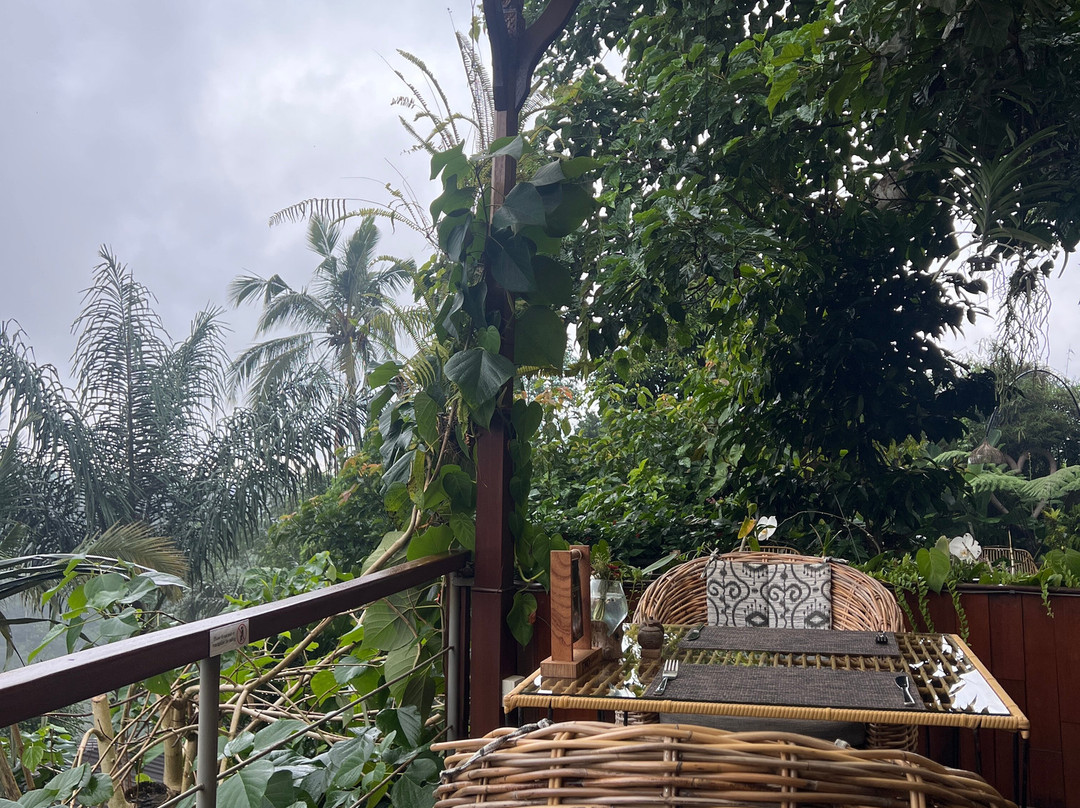 Kayoo Jungle Lounge