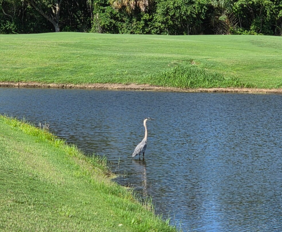 Providence Golf Club-达文波特必去景点