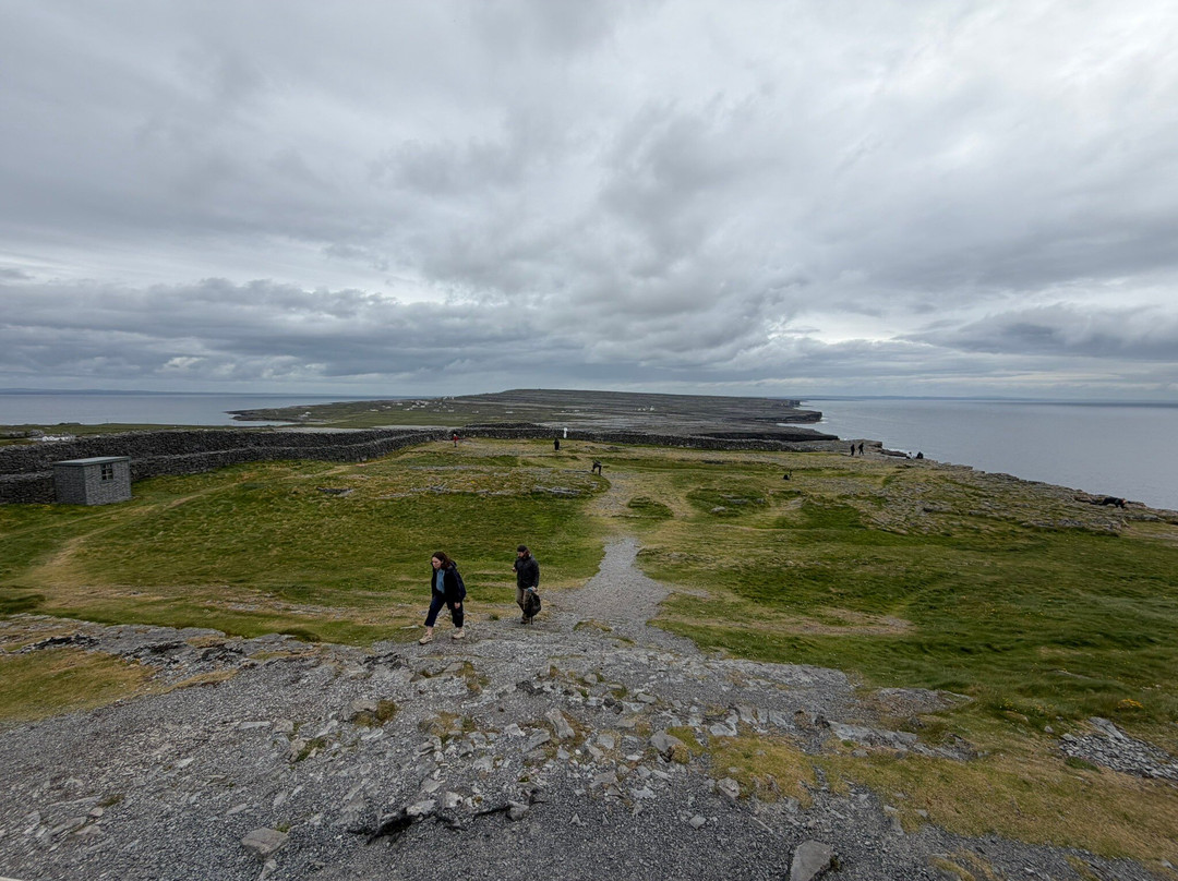 Aran Celtic Tours