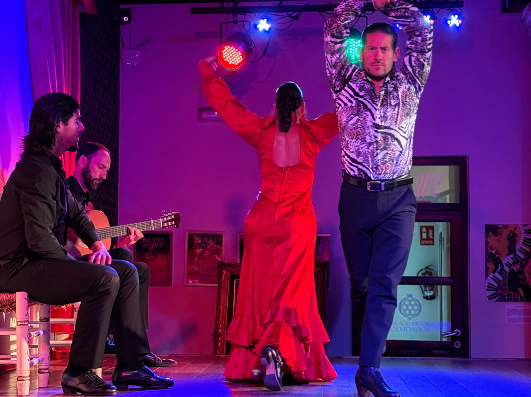 Palacio Flamenco Granada-格拉纳达必去景点