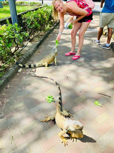 玛格丽塔维尔海滩度假村-旅行者