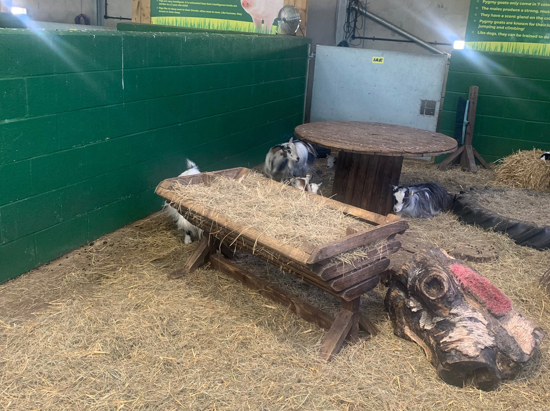 Chobham Adventure Farm-Chobham必去景点