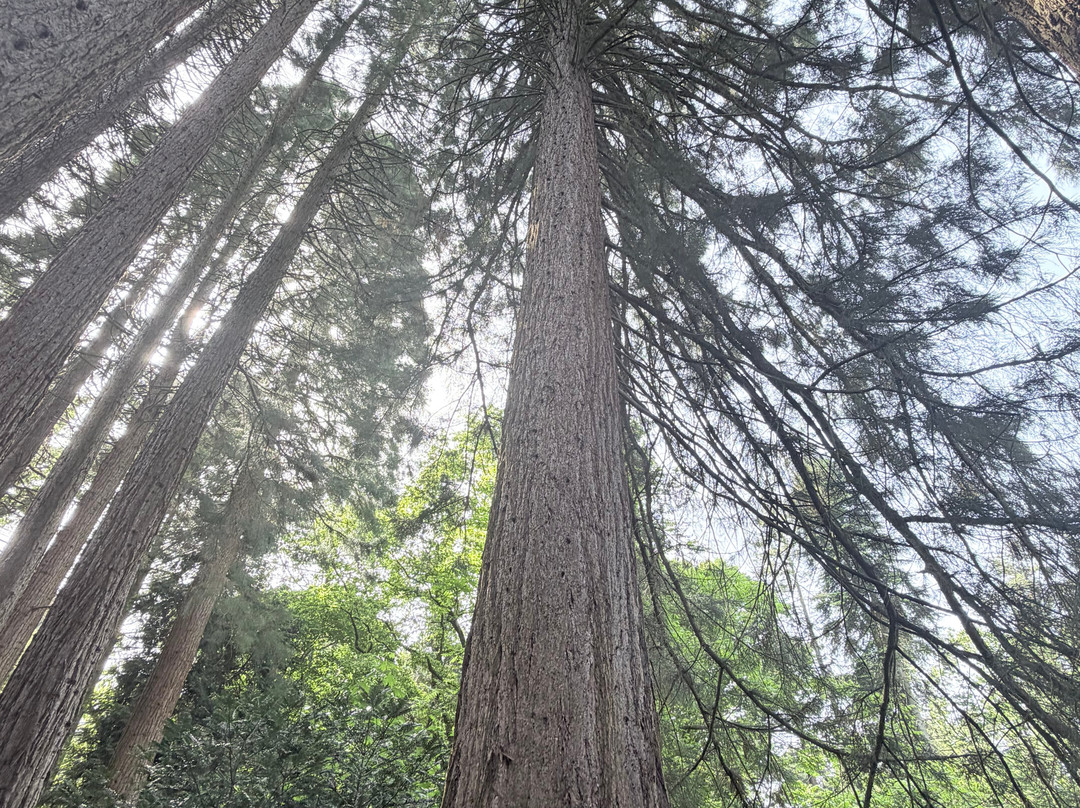 Sequoiafarm-Nettetal必去景点