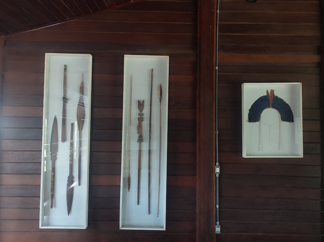 Museu Histórico do Tocantins-Palmas必去景点