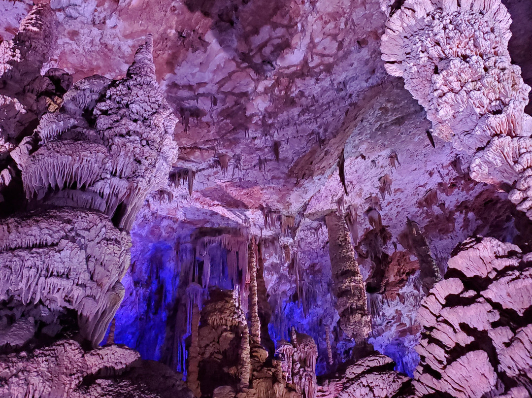Grotte de la Salamandre-Mejannes-le-Clap必去景点
