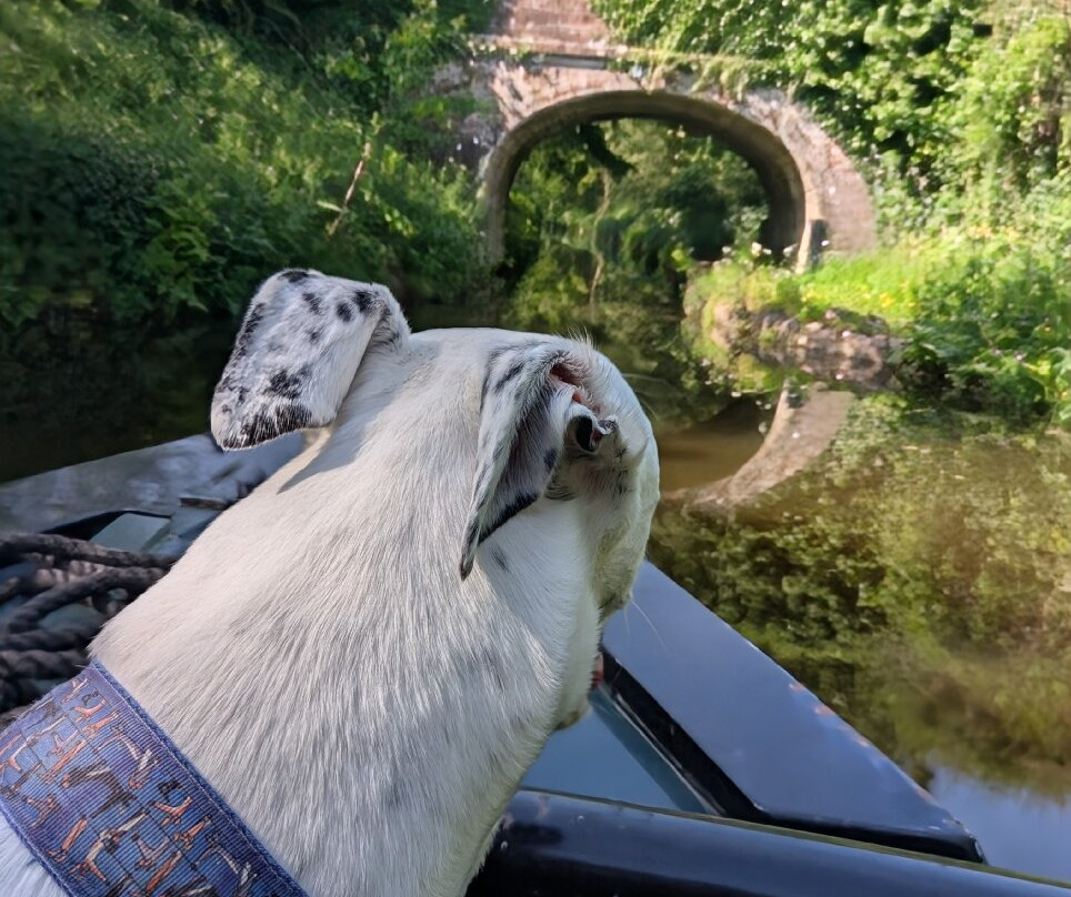 Norbury Wharf Limited-Norbury必去景点