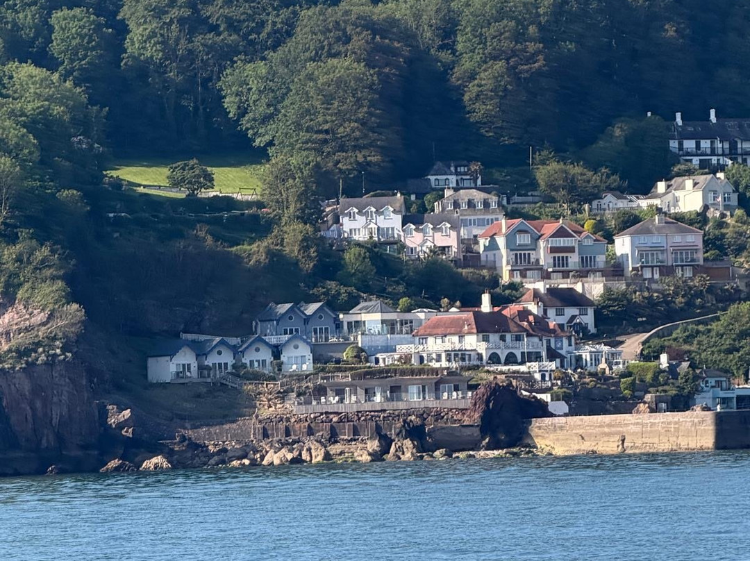 Devon Sea Safari-廷茅斯必去景点