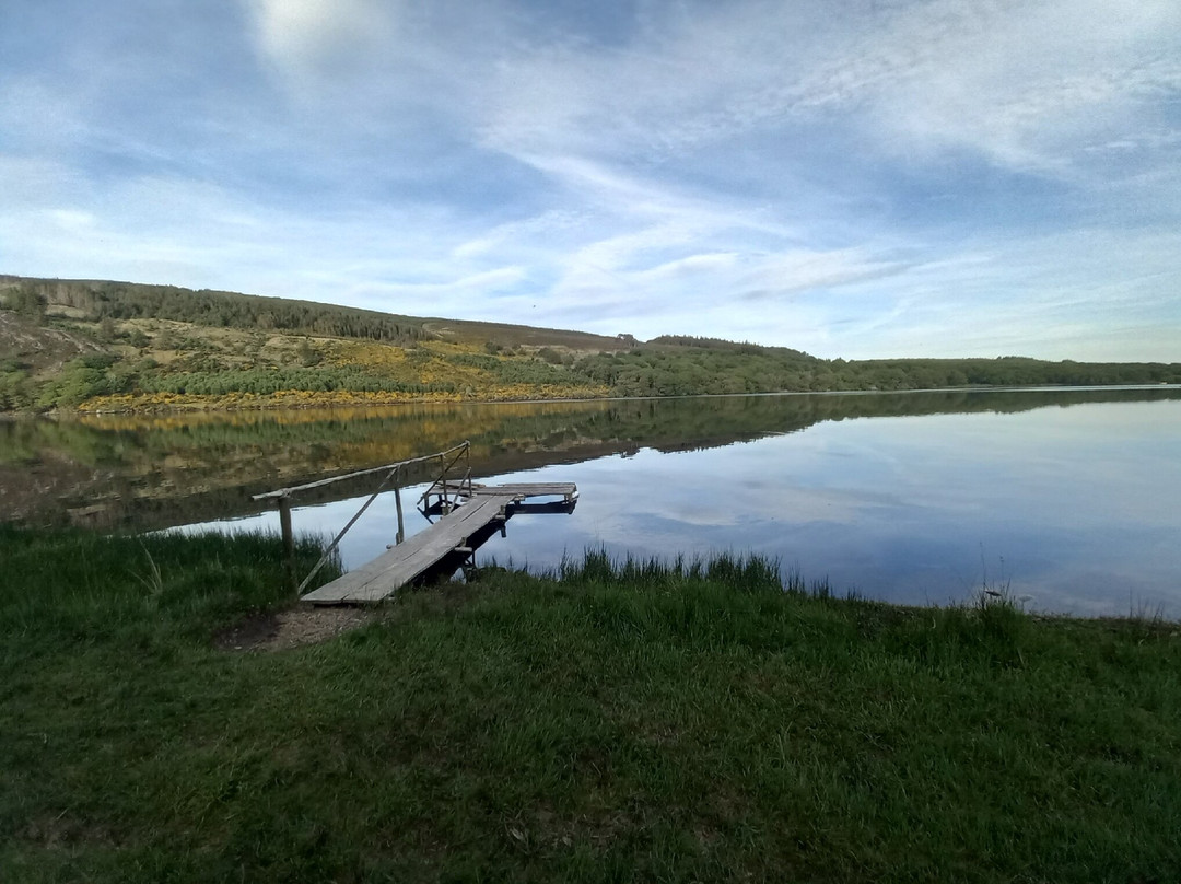 LD1000 ,Lough Dan Access by car only
