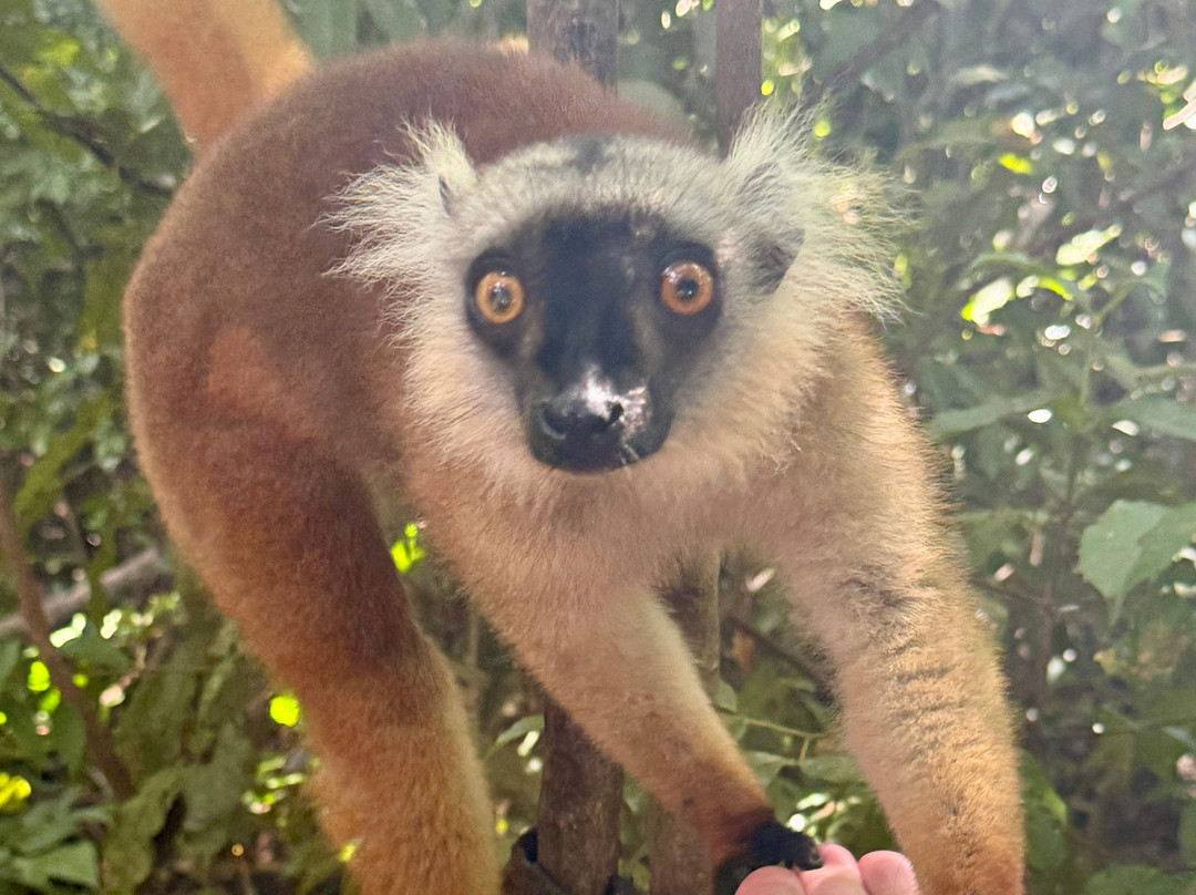 Remote River Expeditions - Madagascar-Morondava必去景点