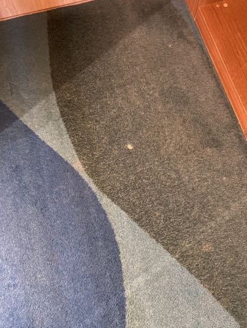 丽笙蓝标酒店-伦敦斯坦斯特德机场-客卧