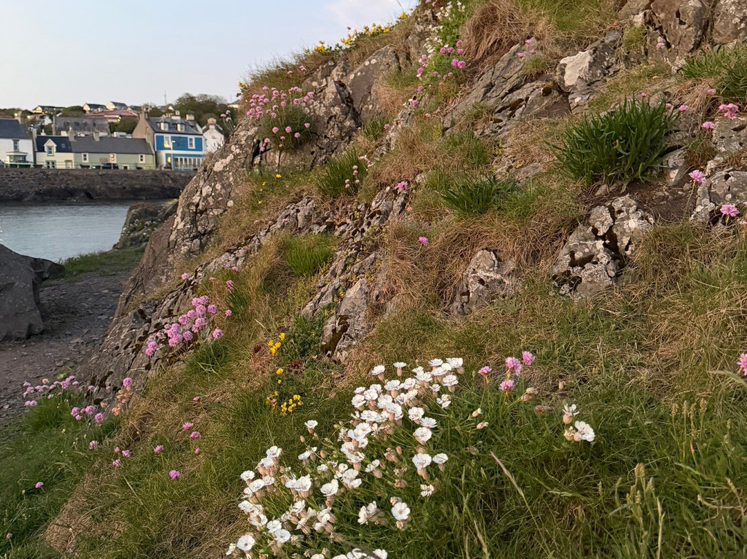 Portpatrick Harbour-Portpatrick必去景点