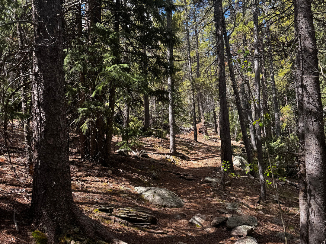 Golden Gate Canyon State Park-戈尔登必去景点