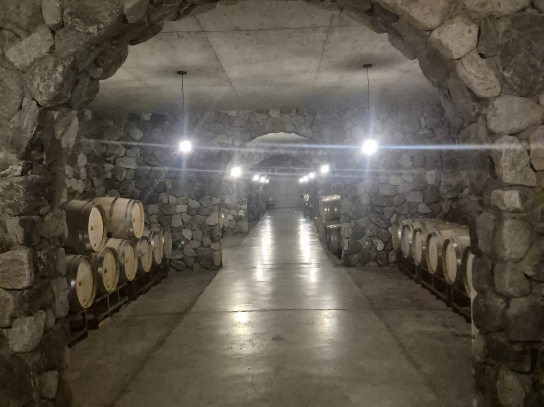 Viñas En Flor Bodega-卡法亚特必去景点