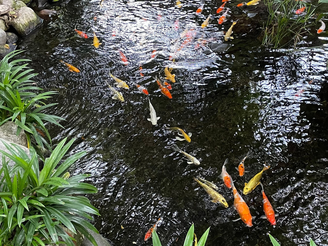 An Lam Retreats Saigon River主图