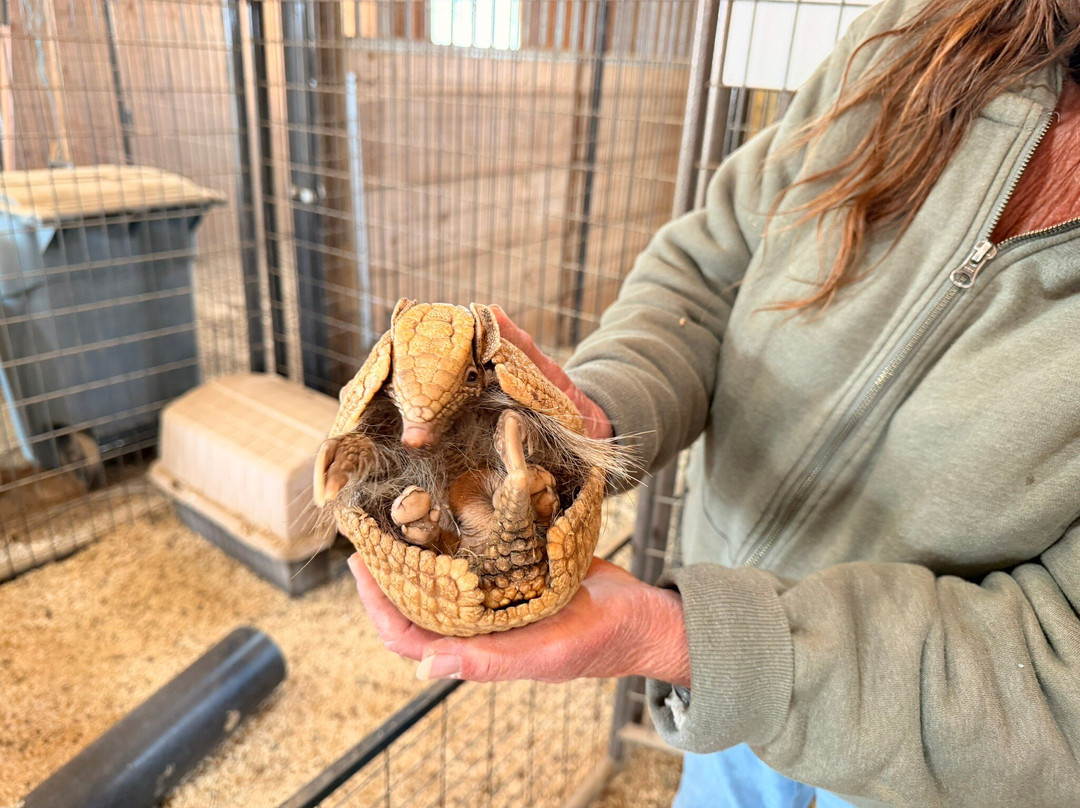Equator's Edge Wildlife Center