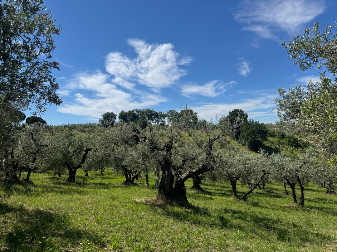 Convivio Rome Italian One Day Cooking Holidays-Toffia必去景点