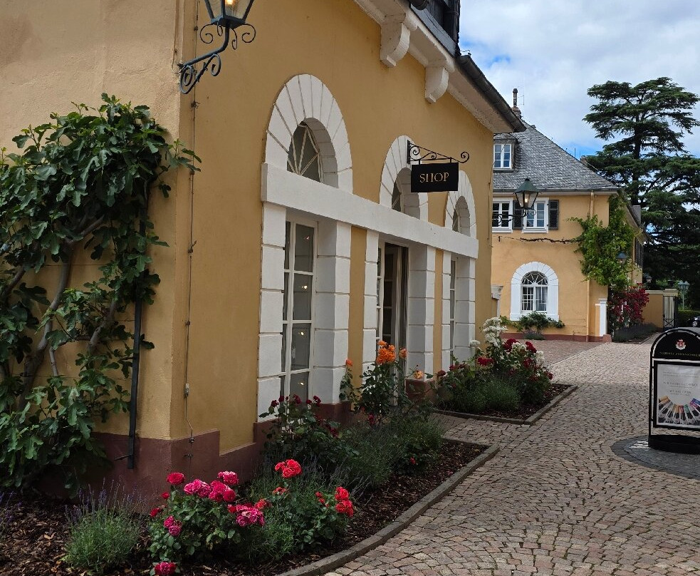 Schloss Johannisberg-盖森海姆必去景点