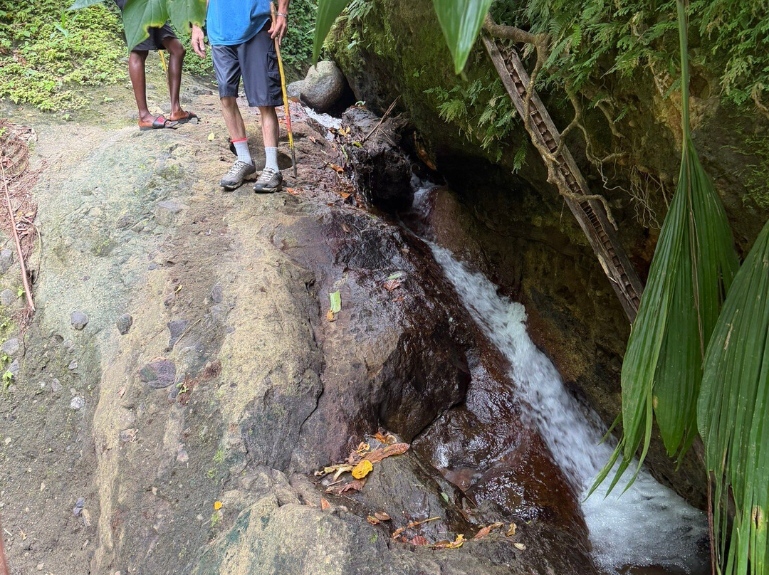 Seven Sisters Waterfalls Grenada-Grand Etang National Park必去景点