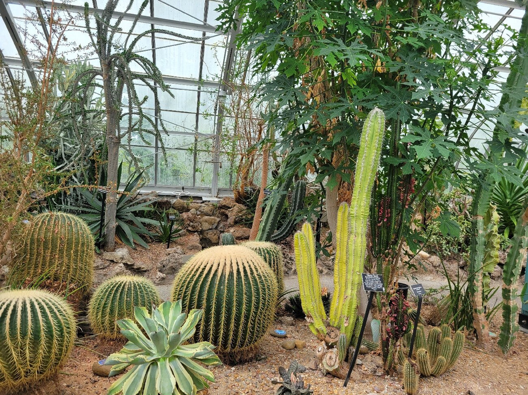 Krohn Conservatory-辛辛那提必去景点