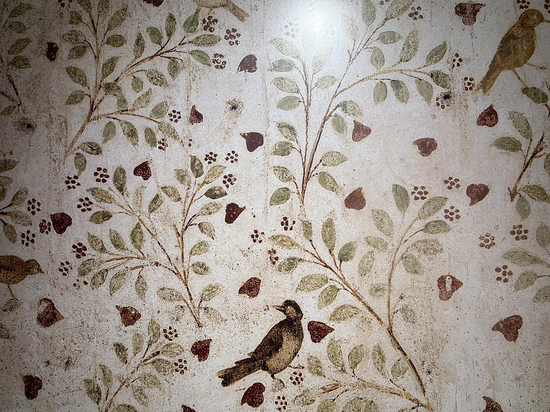 Museo e Foro Romano-阿西西必去景点