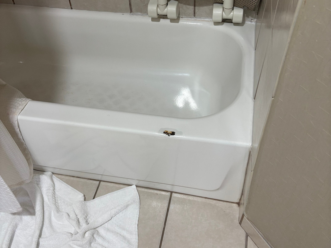 阿德莫尔万豪SpringHill Suites 酒店主图