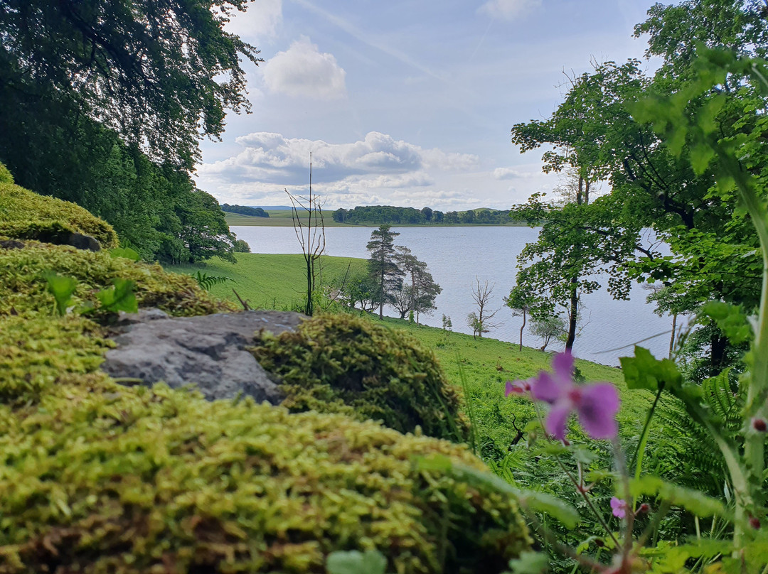 Malham Tarn-Malham必去景点