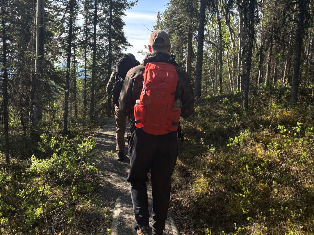Denali Backcountry Guides-德纳利国家公园和自然保护区必去景点