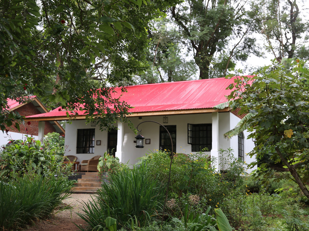 Simba Farm Lodge主图