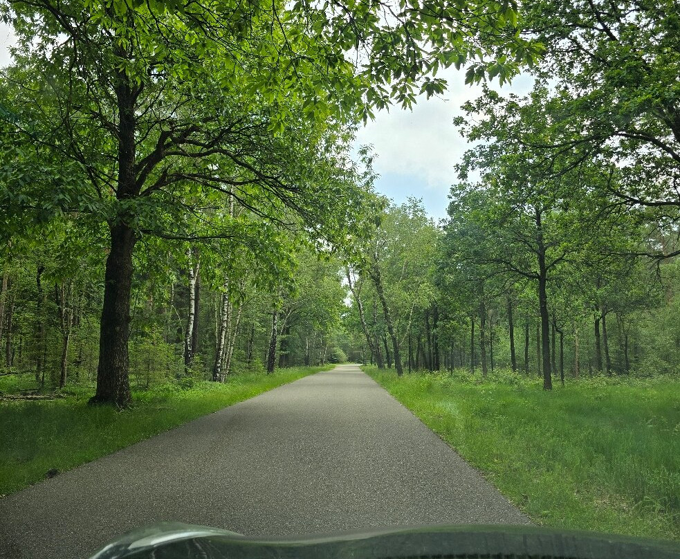 Kröller-Müller Museum-奥特洛必去景点