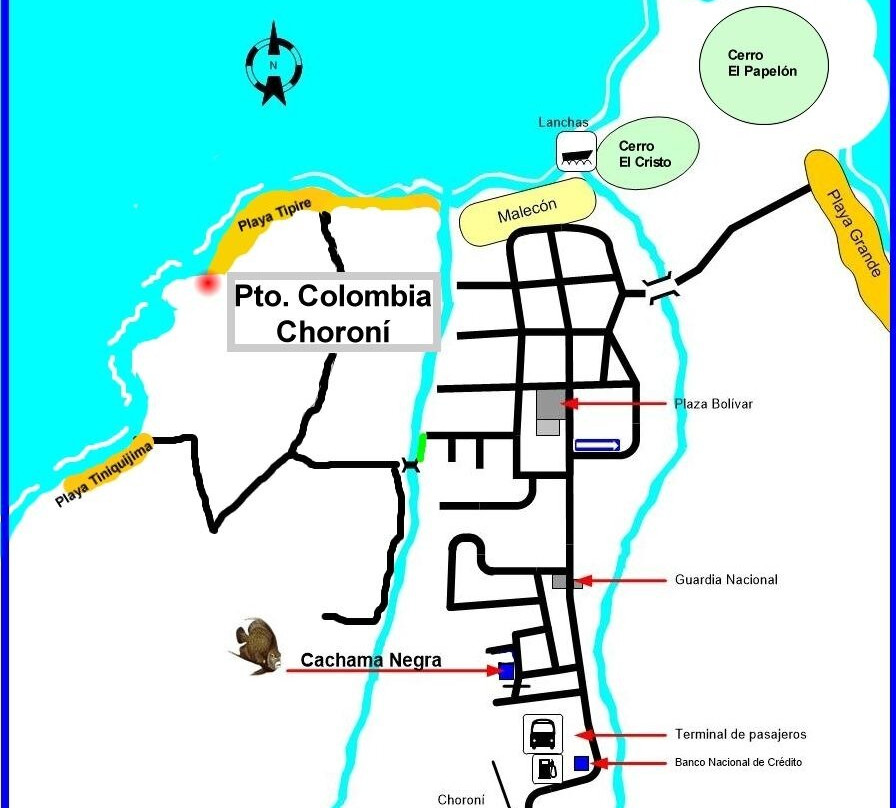 Cachama Negra Choroní
