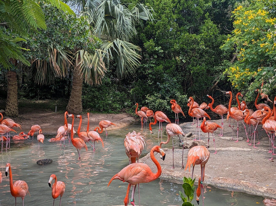 Bermuda Aquarium, Museum & Zoo-Hamilton Parish必去景点