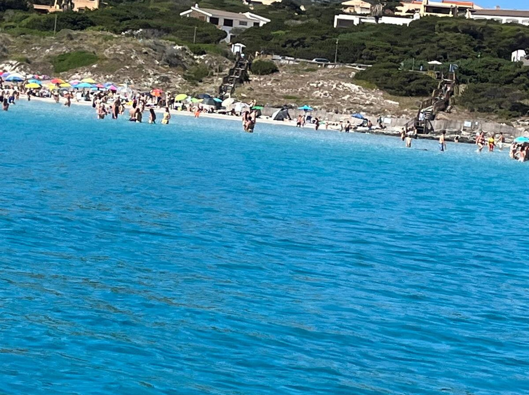 Amato Escursioni Nautiche di Daniele Amato-Asinara必去景点