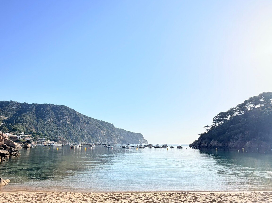 Platja Cala Aiguablava-贝格必去景点