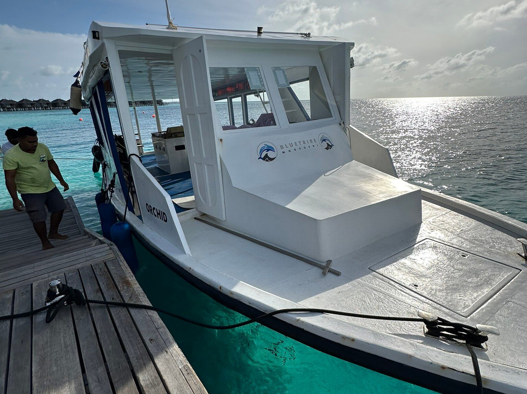 Diving Bluetribe Moofushi-南阿里环礁必去景点