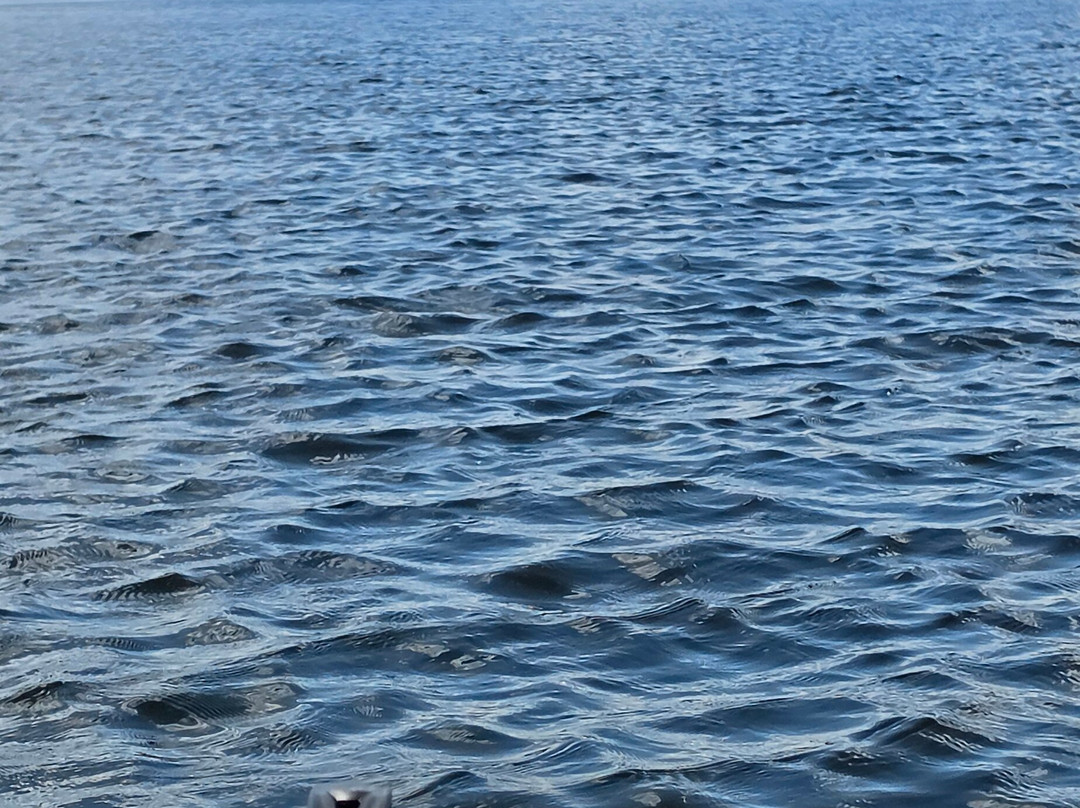 Kayak Shak-萨拉托加温泉必去景点