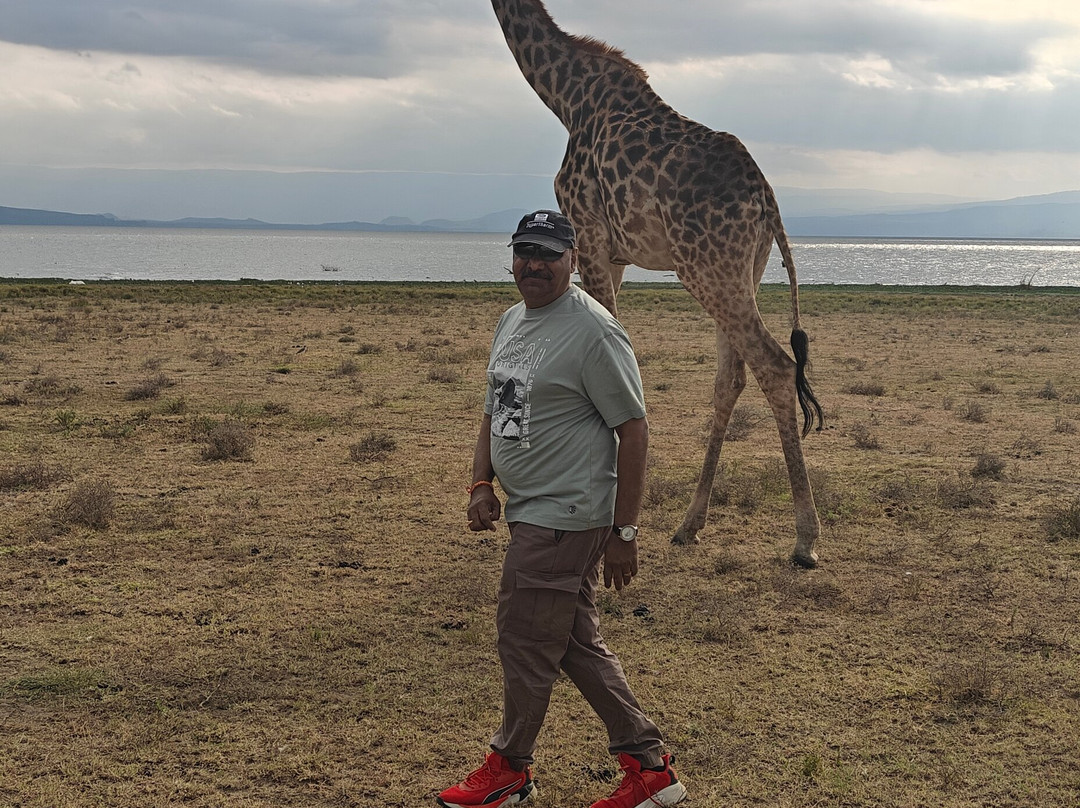 Scope Safaris-Thika必去景点
