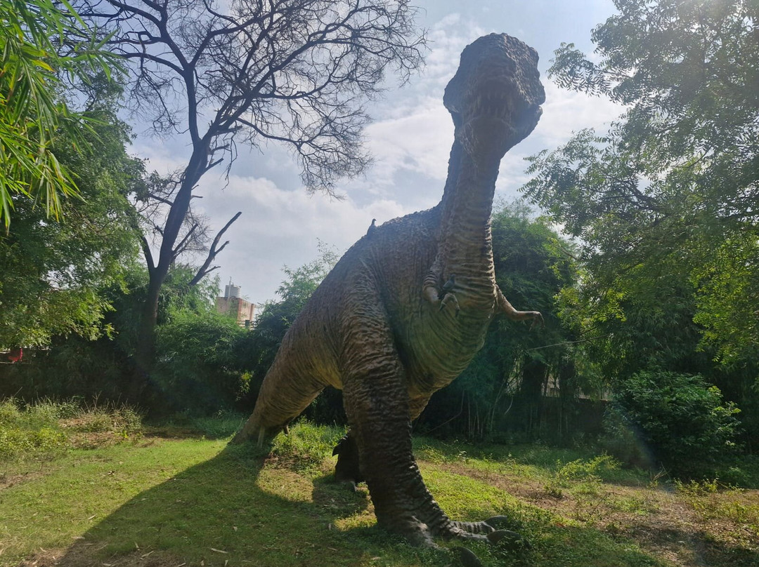 Indroda Nature Park-甘地纳加尔必去景点